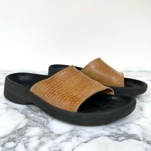 Birkenstock Brown and Black Sandals